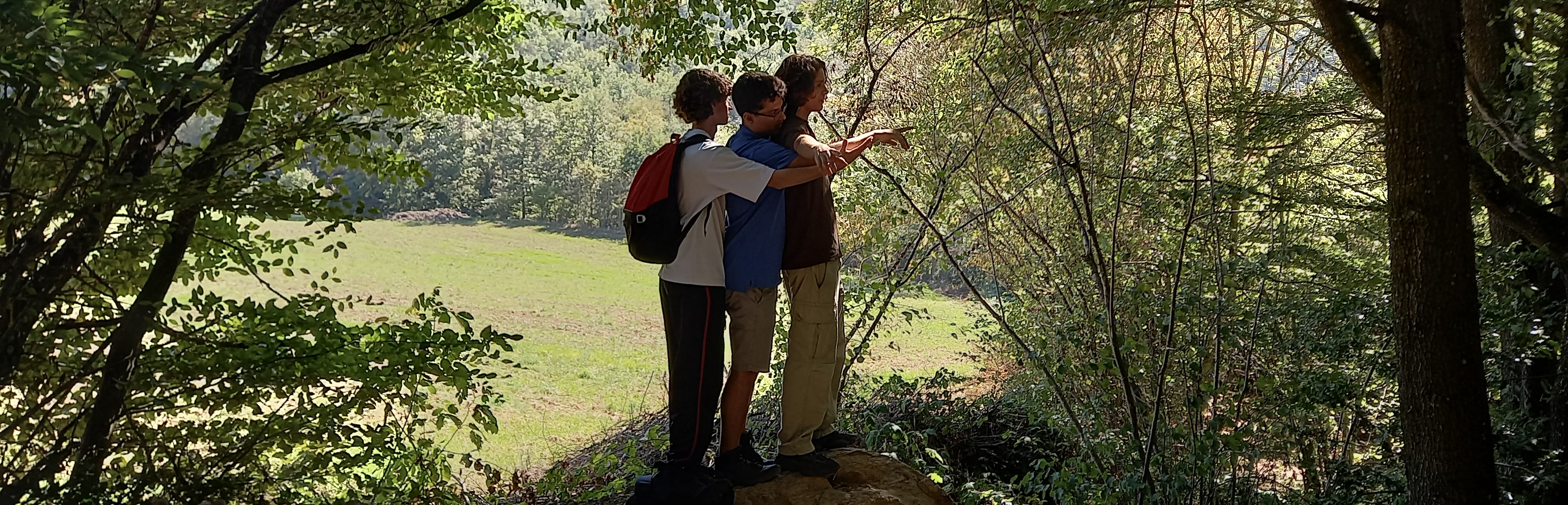 session term nature 